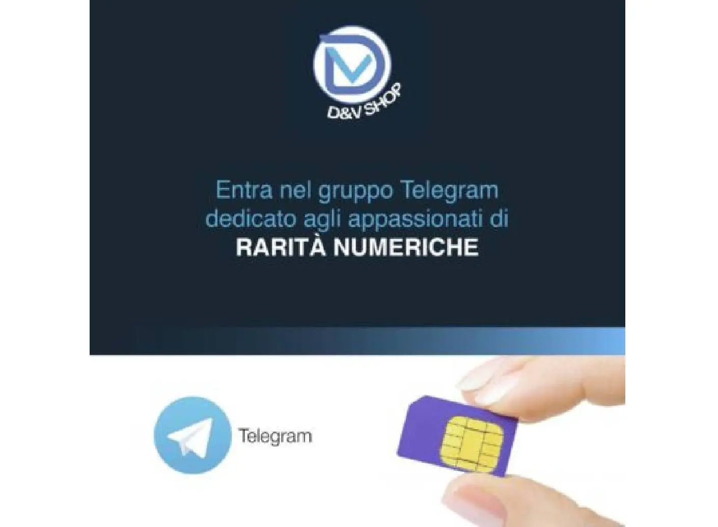 Entra a far parte del gruppo Telegram di D&Vshop